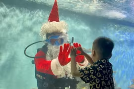  Màn trình diễn dưới nước đặc biệt của ông già Noel ở Nha Trang