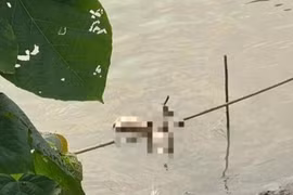 Vụ thi thể cô gái bị phân 4 mảnh trên sông Hồng: Đã bắt được nghi phạm