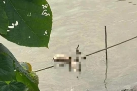 Vụ thi thể cô gái bị phân 4 mảnh trên sông Hồng: Đã bắt được nghi phạm