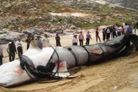 Bí ẩn "thủy quái" ở Tân Cương đã được khám phá