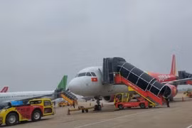 Khỉ vàng xâm nhập sân bay Nội Bài, nguy cơ gây mất an toàn