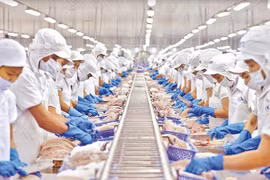 GDP năm 2023 tăng 6,5%: Thách thức... kỳ vọng?!