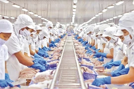 GDP năm 2023 tăng 6,5%: Thách thức... kỳ vọng?!