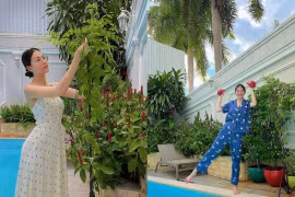 Không gian trong biệt thự khu nhà giàu của Hoa hậu Phương Khánh