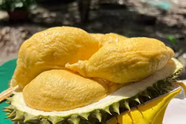 Măng tây giá rẻ bất ngờ, sầu riêng bị 'thổi giá' cao ngất