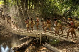 Khám phá cuộc sống bí ẩn của bộ tộc du mục cuối cùng ở Amazon 