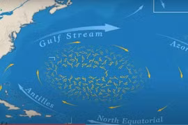 Loạt bí ẩn ở biển duy nhất trên thế giới không có bờ