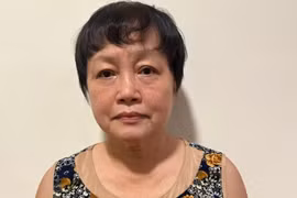 Cựu Phó Sở KH&ĐT TPHCM sai phạm gì liên quan AIC bị khởi tố?