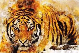 Từ 3- 9/7, 3 con giáp may mắn về tiền bạc, Thần Tài ban tài lộc