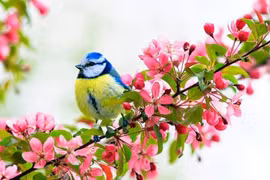 Người sinh ngày Âm lịch này thích mạo hiểm, khai phá nhiều thành công