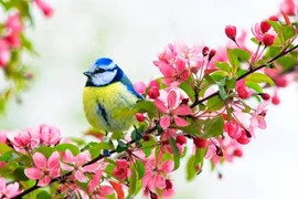 Người sinh ngày Âm lịch này thích mạo hiểm, khai phá nhiều thành công