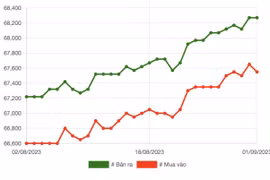 Từ nay đến cuối năm, nên mua vàng hay gửi tiền tiết kiệm?