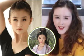  Mỹ nhân được khen "đẹp hơn Lưu Diệc Phi": Tuổi 40, khuôn mặt biến dạng