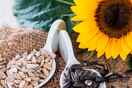 Mua hướng dương dịp Tết, thấy loại này nên tránh xa kẻo hại thân