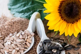 Mua hướng dương dịp Tết, thấy loại này nên tránh xa kẻo hại thân