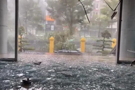 Hình ảnh tan hoang ở Quảng Ninh khi bão số 3 Yagi đổ bộ