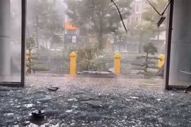 Hình ảnh tan hoang ở Quảng Ninh khi bão số 3 Yagi đổ bộ