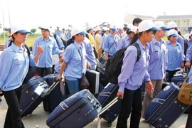Người bị thu hồi đất có thể được hỗ trợ đi xuất khẩu lao động