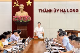 Giám đốc Ban Quản lý dự án TP Hạ Long bị tạm đình chỉ công việc