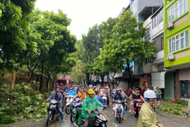 Bão số 3 Yagi đi qua, đường phố Hà Nội ngổn ngang