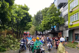 Bão số 3 Yagi đi qua, đường phố Hà Nội ngổn ngang