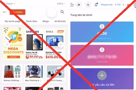 Bị lừa hơn 800 triệu đồng khi tham gia mô hình kinh doanh Dropshipping