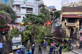 Hà Nội: Tập trung khẩn cấp ứng phó bão số 3