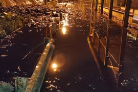 Sự cố sạt lở bao ô lưu chứa bùn tại bãi rác Nam Sơn