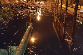 Sự cố sạt lở bao ô lưu chứa bùn tại bãi rác Nam Sơn