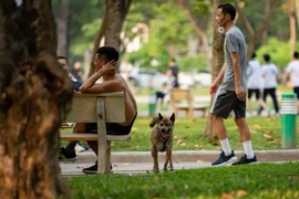 Hà Nội lại lập đội bắt chó thả rông, người dân nói gì?