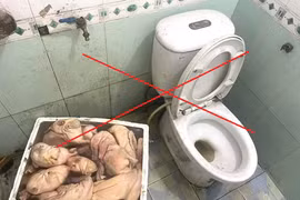 Sự thật bất ngờ vụ “quán vịt có giòi cạnh bồn cầu” ở Quảng Ninh