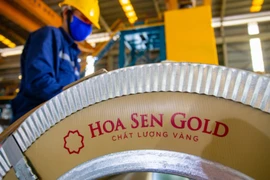 Hoa Sen chiết khấu mạnh cổ phiếu ESOP, lợi nhuận tăng nhưng dòng tiền âm