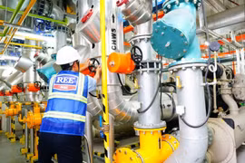 REE bổ nhiệm tân Tổng Giám đốc từ 1/7