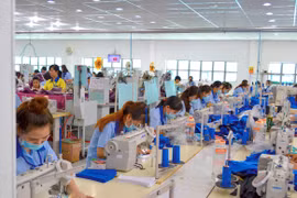 Garmex rao bán lô đất trăm tỷ nhưng không có người đăng ký mua