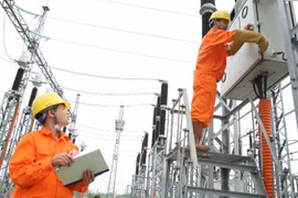 EVN TP.HCM phản hồi về sự cố mất kết nối trên sàn HoSE