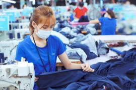 Dệt may TNG không còn là công ty mẹ của TNG Land