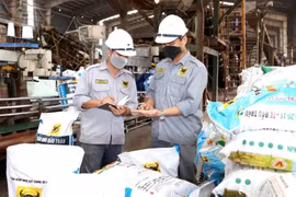 Phân bón Bình Điền lãi Q1/2024 tăng 44%, chốt chia cổ tức 20% tiền mặt