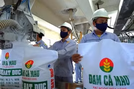 Đạm Cà Mau chi hơn 1.000 tỷ trả cổ tức tiền mặt cho cổ đông