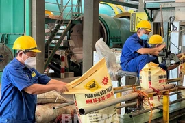 Phân bón Bình Điền bị phạt và truy thu hơn 2,6 tỷ đồng do khai sai thuế