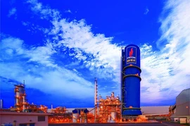 Lợi nhuận DPM phục hồi từ mức thấp, cổ phiếu được định giá 35.200 đồng