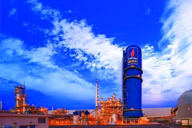 Lợi nhuận DPM phục hồi từ mức thấp, cổ phiếu được định giá 35.200 đồng