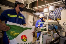 DCM dự tính trả cổ tức 10% cho năm 2024, giảm một nửa so với 2023