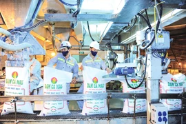 Nhà máy bảo dưỡng, lượng urê của Đạm Cà Mau giảm 52% trong tháng 8