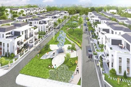 Tạm hoãn xuất cảnh đối với Tổng giám đốc Home Land Trần Thị Kim Chung