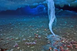 Đây là những hiện tượng lạ lùng chỉ xảy ra khi trời lạnh