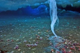 Đây là những hiện tượng lạ lùng chỉ xảy ra khi trời lạnh