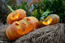 Những điểm vui chơi Halloween thú vị nhất cho bé