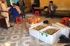 Bắt giữ hàng nghìn quả pháo lậu trên xe khách