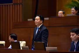 Bộ trưởng TNMT: Người nước ngoài mua đất ở đặc khu là trái pháp luật