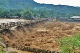 Siêu bão Mangkhut mạnh cấp 17 khả năng ảnh hưởng trực tiếp Bắc Bộ